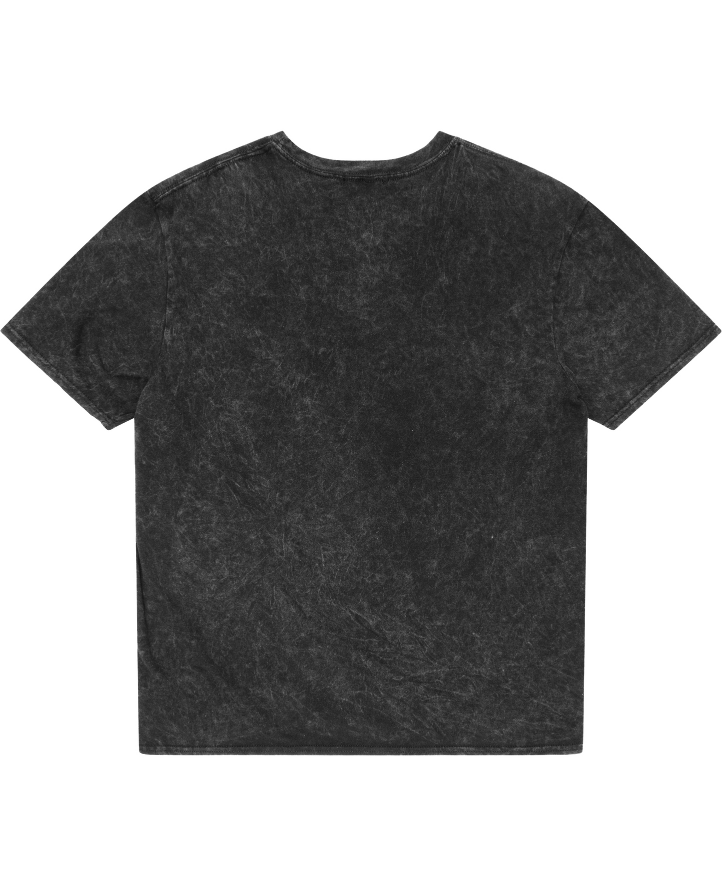 Taylor Swift - Acid Washed Boxy Fit Tee - Acidwash Back