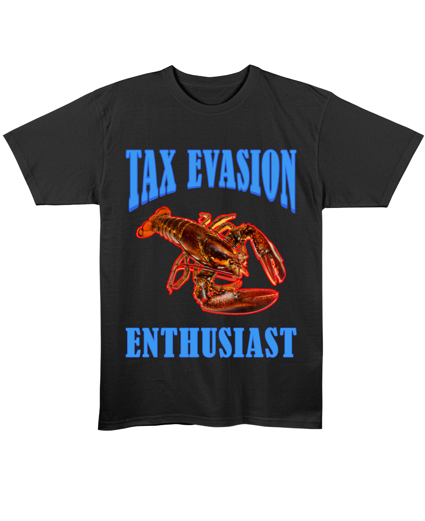 Tax Evasion Enthusiast - Regular Fit Tee - Black Front