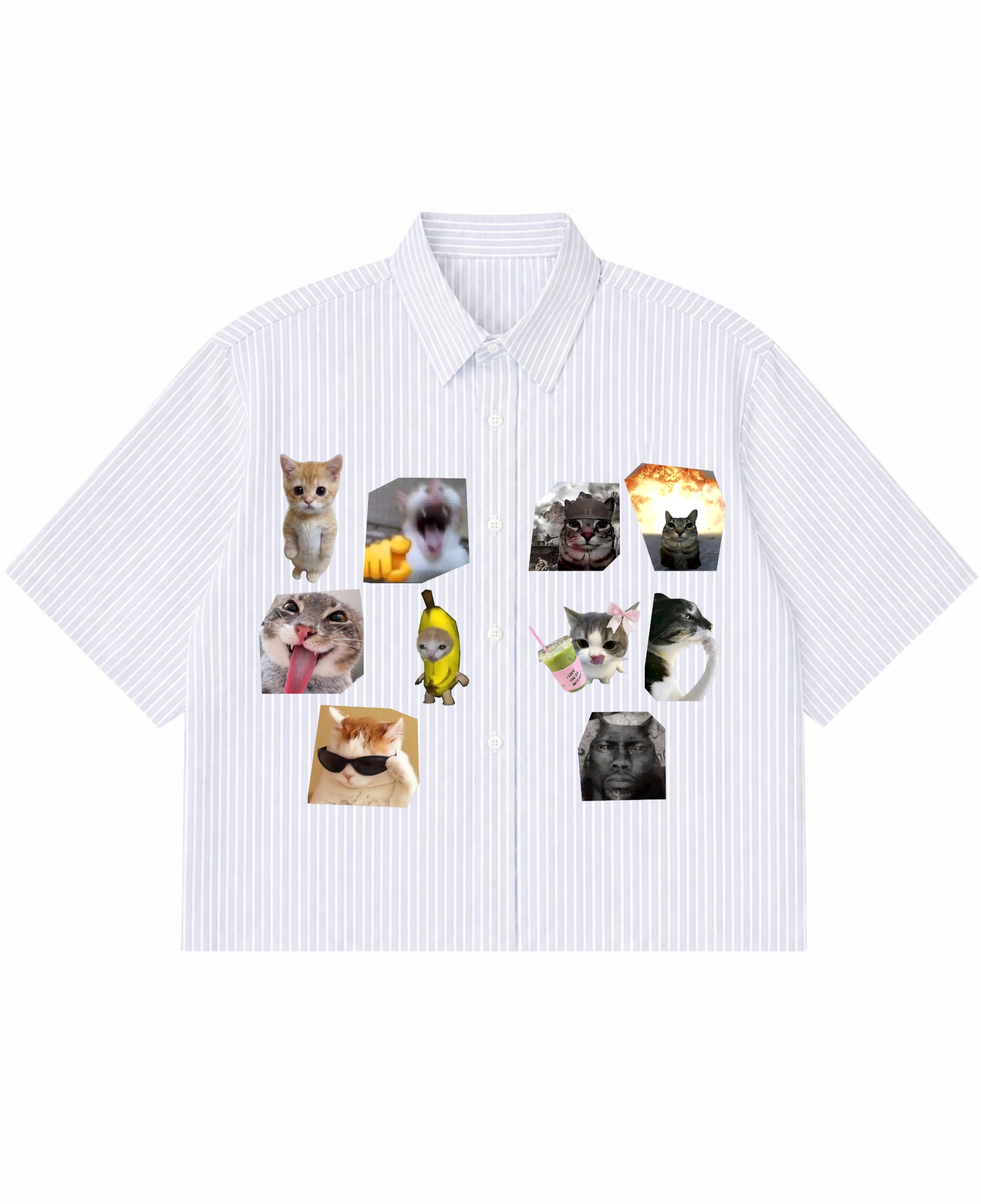 Blue Striped Oxford Boxy Shirt Front Design