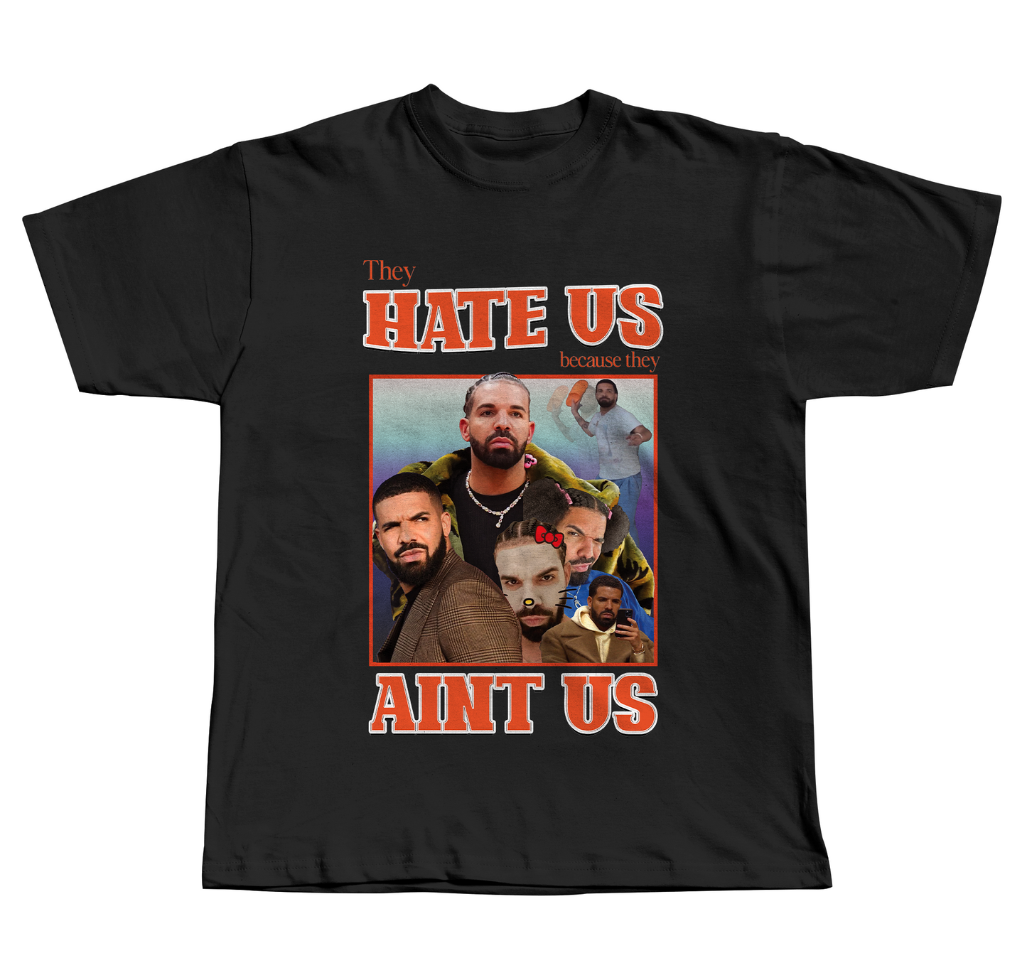 They Hate Us Cus They Ain't Us(Drake Edition) - Regular Fit Tee